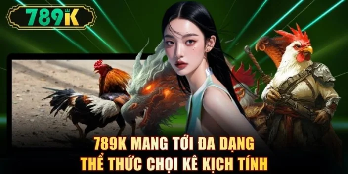 Đá Gà 789K - 40+ Trận Campuchia, Philippines Mỗi Ngày - slotvoyager