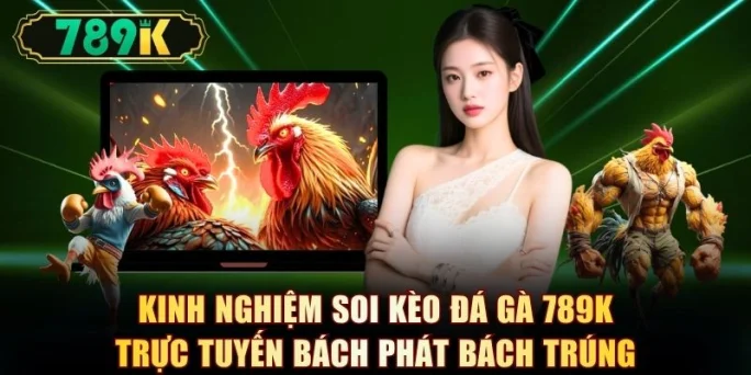 Đá Gà 789K - 40+ Trận Campuchia, Philippines Mỗi Ngày - slotvoyager